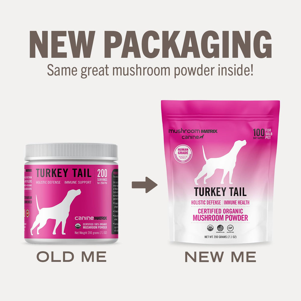 Serving suggestion: daily dose of Mushroom Matrix Turkey Tail for pets.
