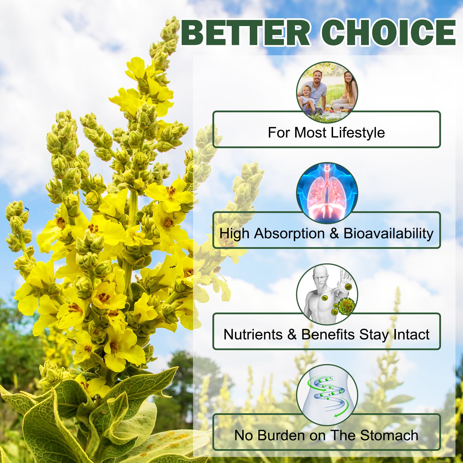 MXCZBSM Daily usage of mullein gummies shown