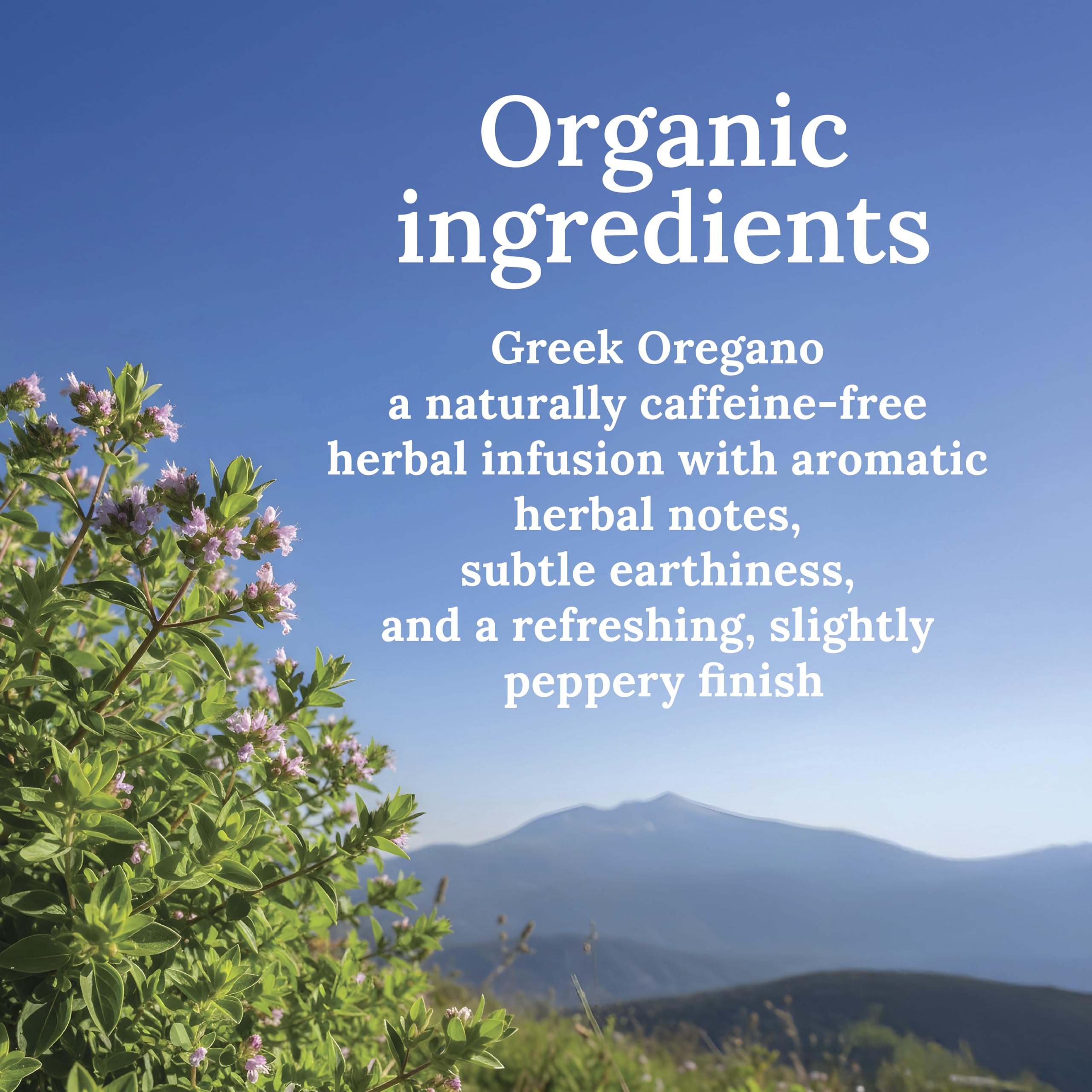 MY LAND oregano leaves sprinkled on a dish for enhanced cooking flavor.