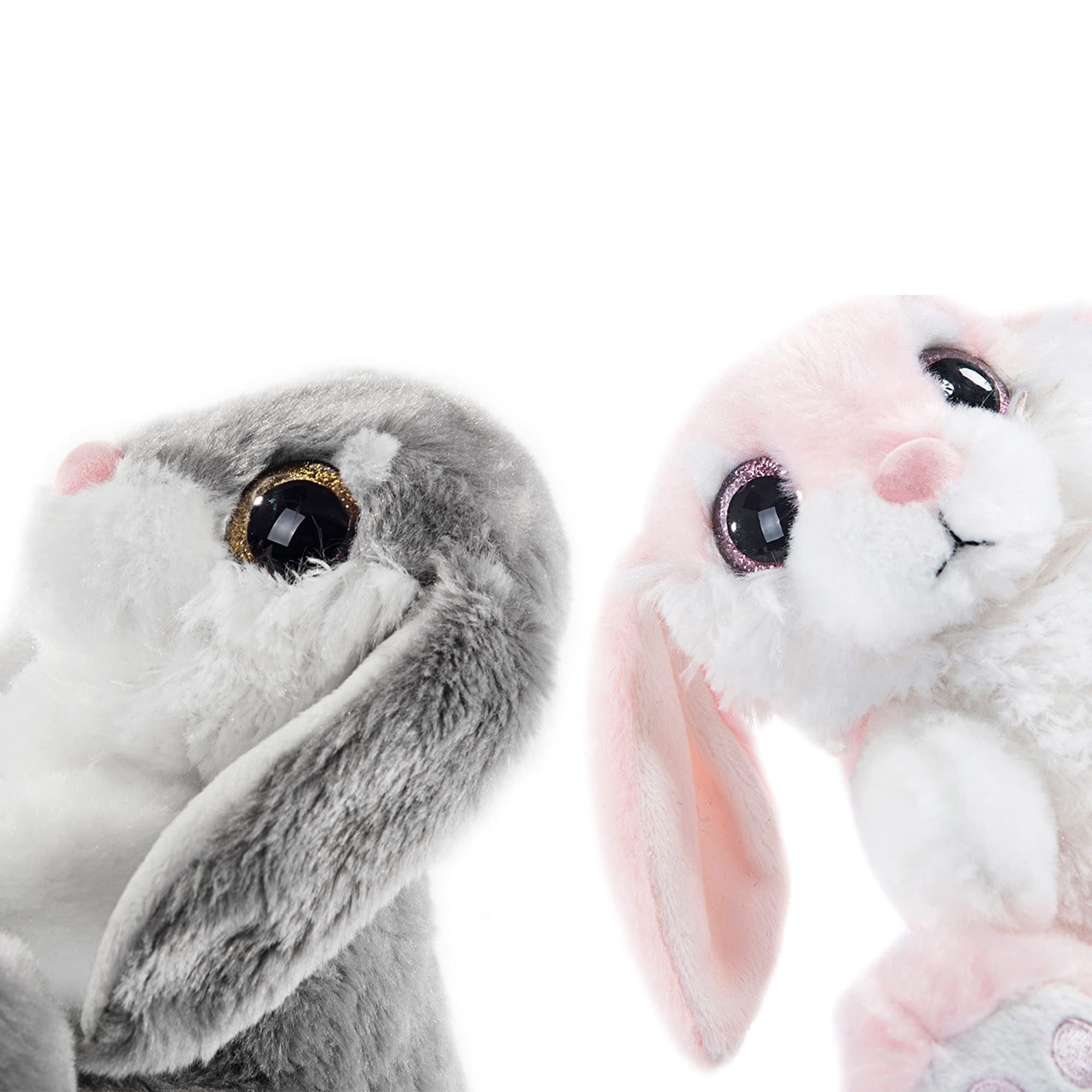 My OLi bunny face with bright eyes and pink nose.