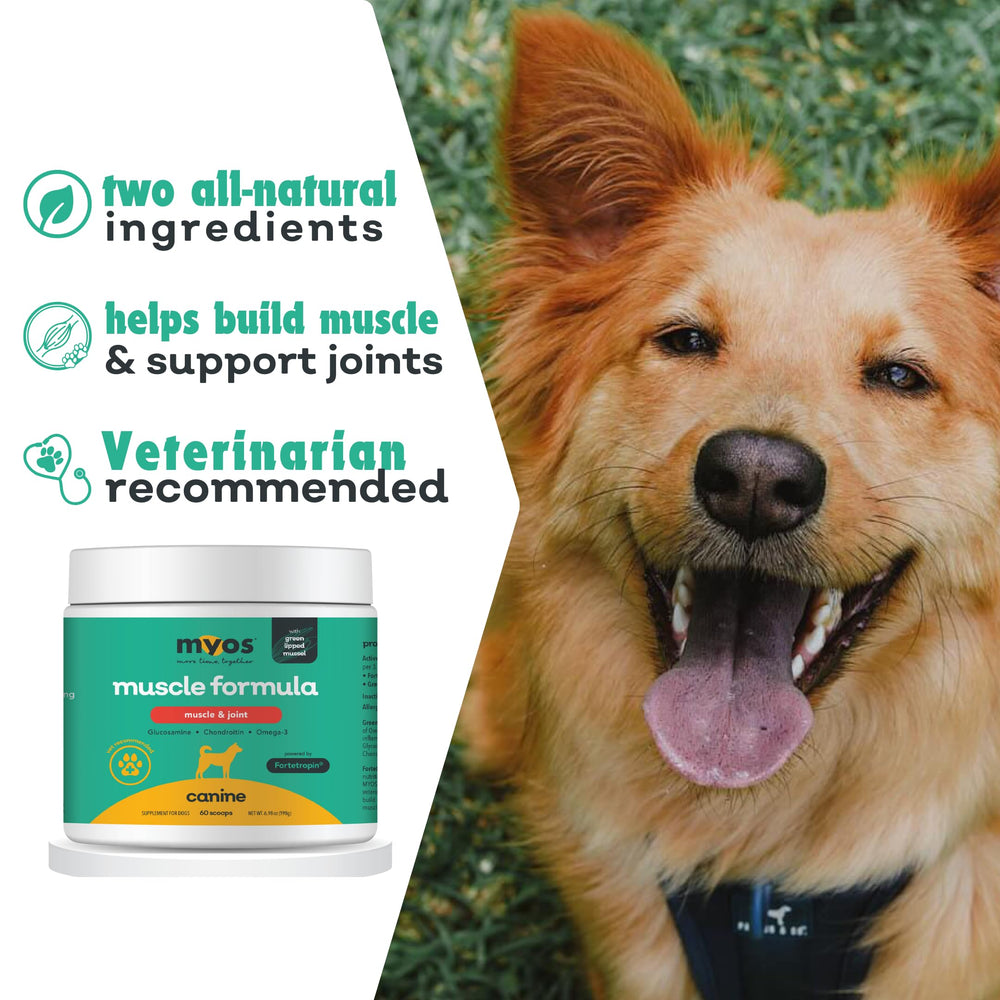 MYOS Canine Muscle Formula with Green Lipped Mussel highlights joint support