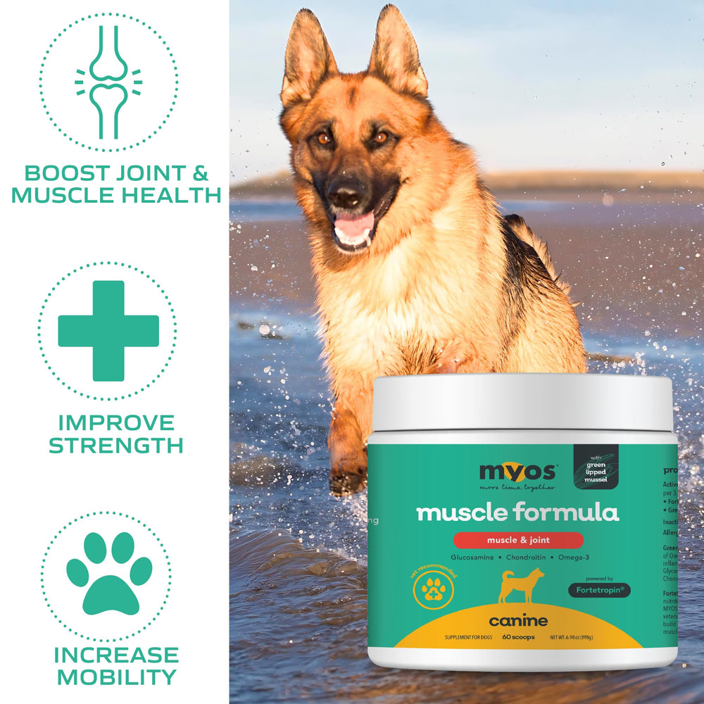 MYOS Canine Muscle Formula natural ingredients in gluten-free profile