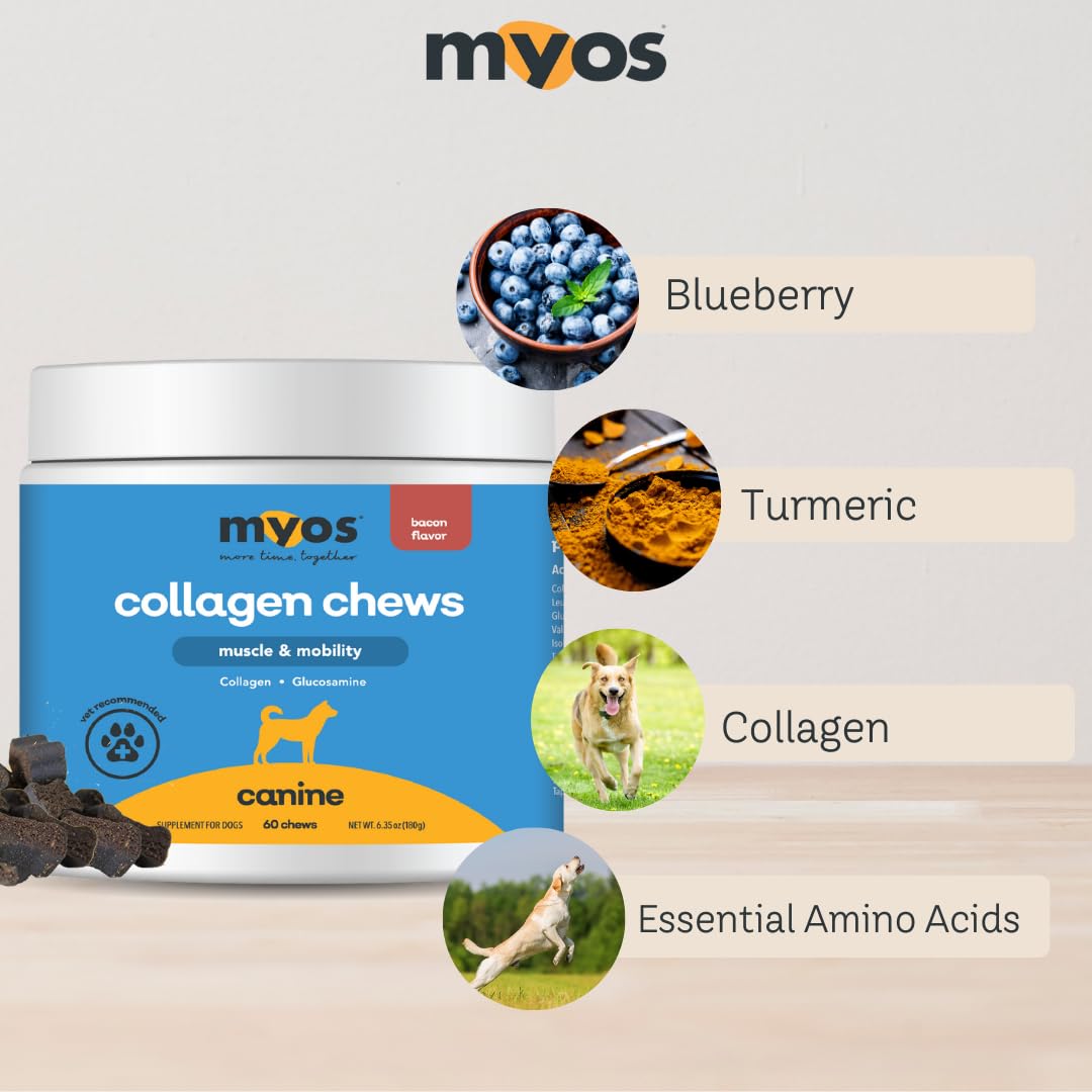 MYOS Canine Muscle & Mobility Chews dog chewing shows tasty incentive for joints
