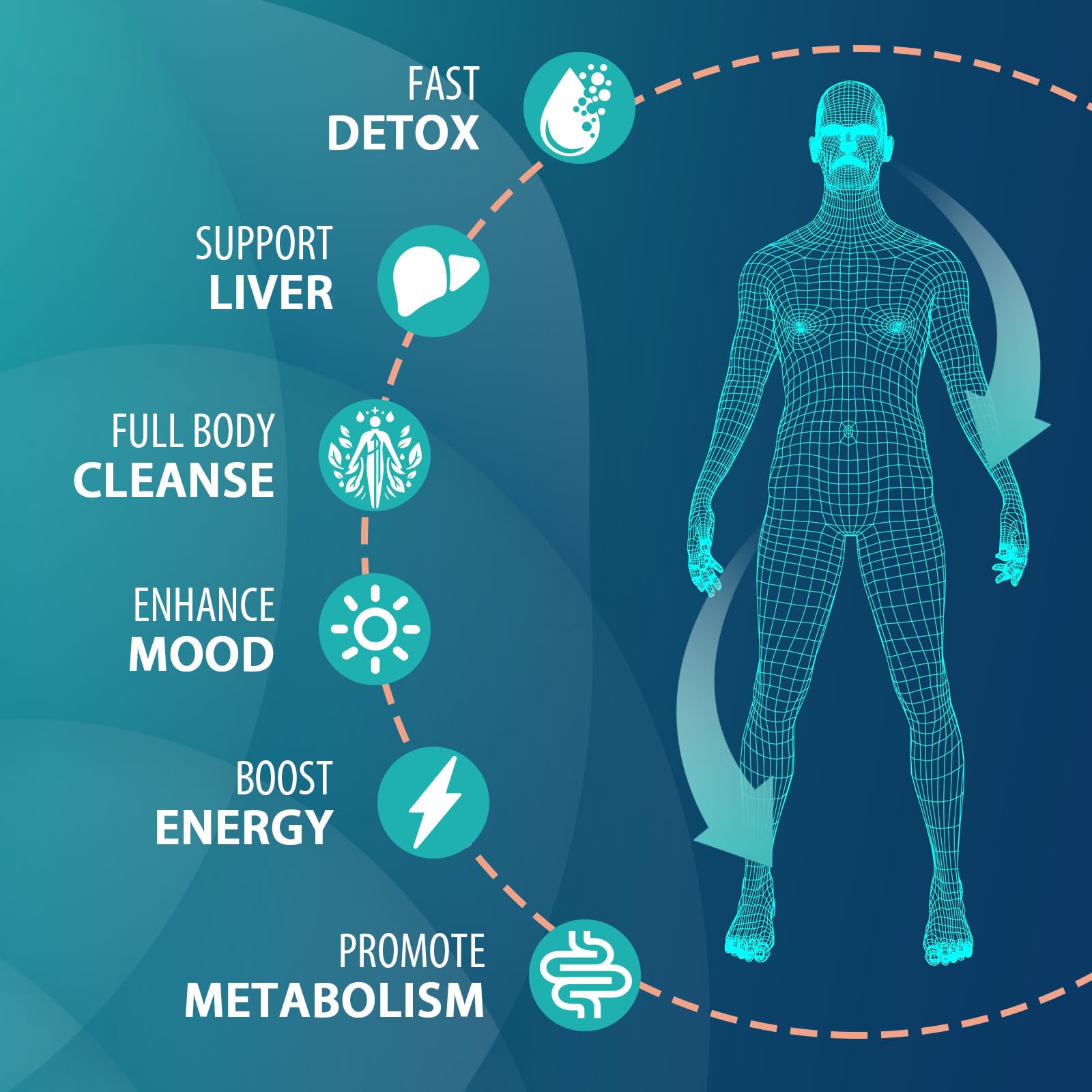Burdock root extract in MythoTecq detox close-up signaling herbal cleansing.
