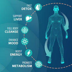 Burdock root extract in MythoTecq detox close-up signaling herbal cleansing.