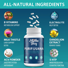 Milk thistle ingredient highlight in MythoTecq detox for liver support.