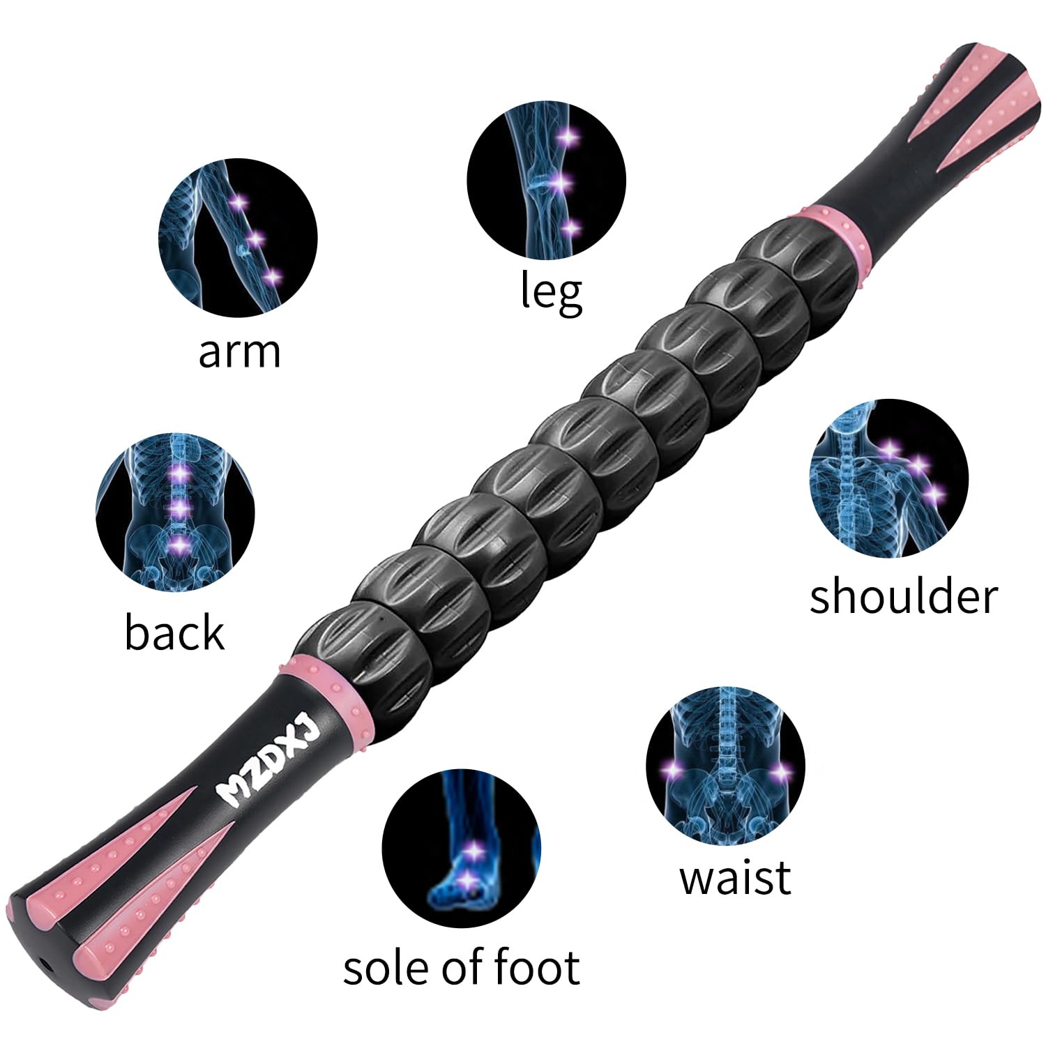Expert-endorsed MZDXJ design offers professional-grade muscle care.