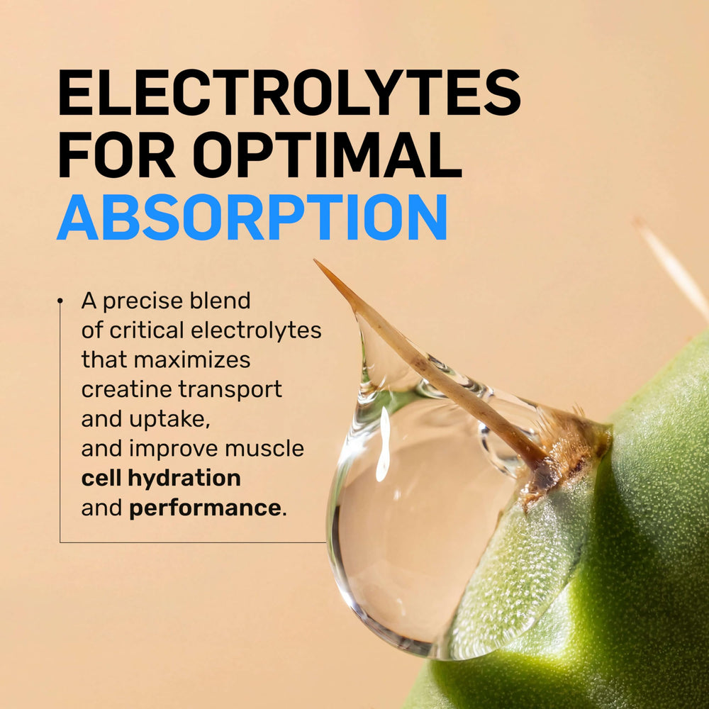NAKED Lean Creatine HCl Powder label closeup highlights organic prickly pear extract.