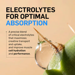 NAKED Lean Creatine HCl Powder label closeup highlights organic prickly pear extract.