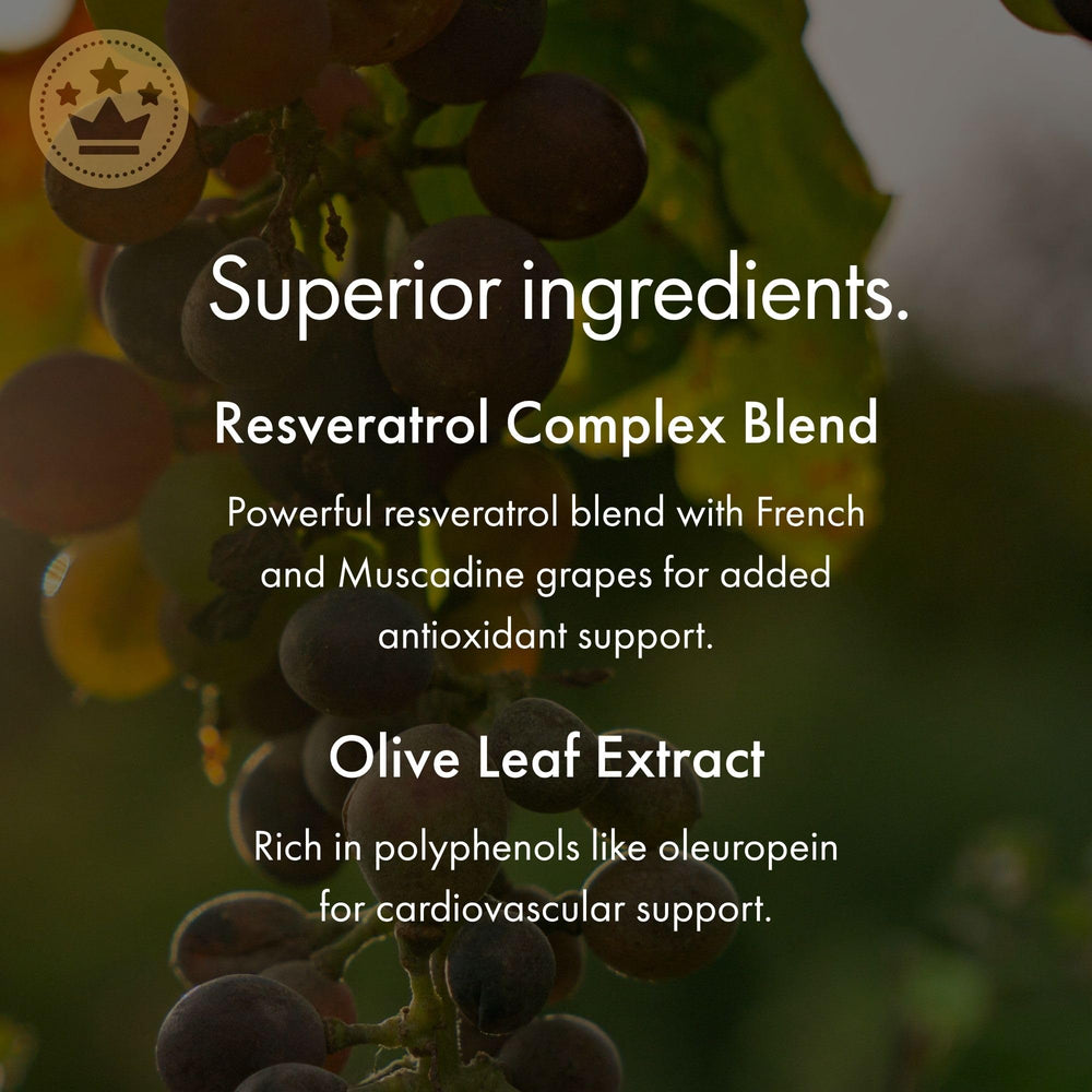 NAOMI capsules in hand showcasing convenient daily capsules.