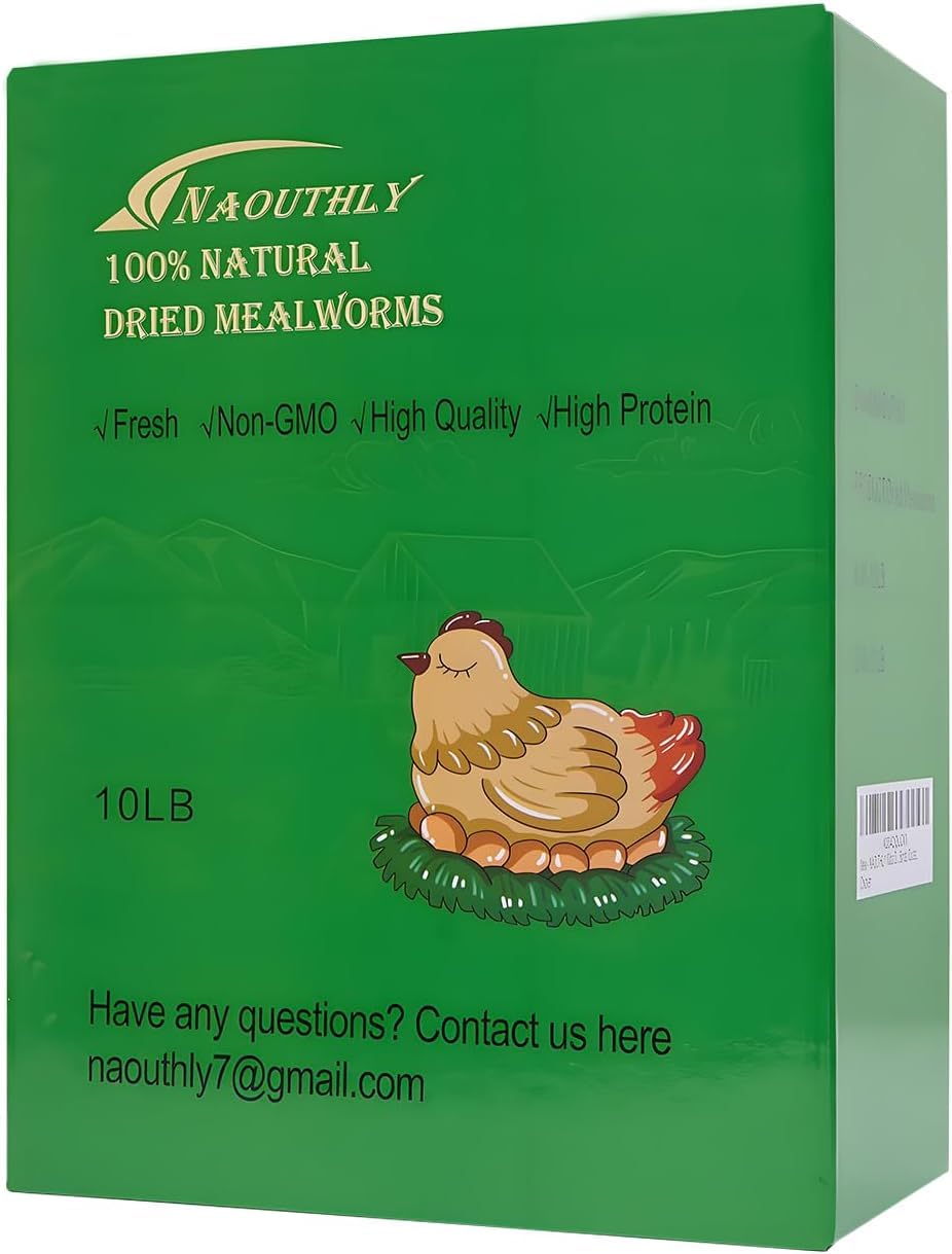 Close-up of NAOUTHLY non-GMO dried mealworms showing natural texture