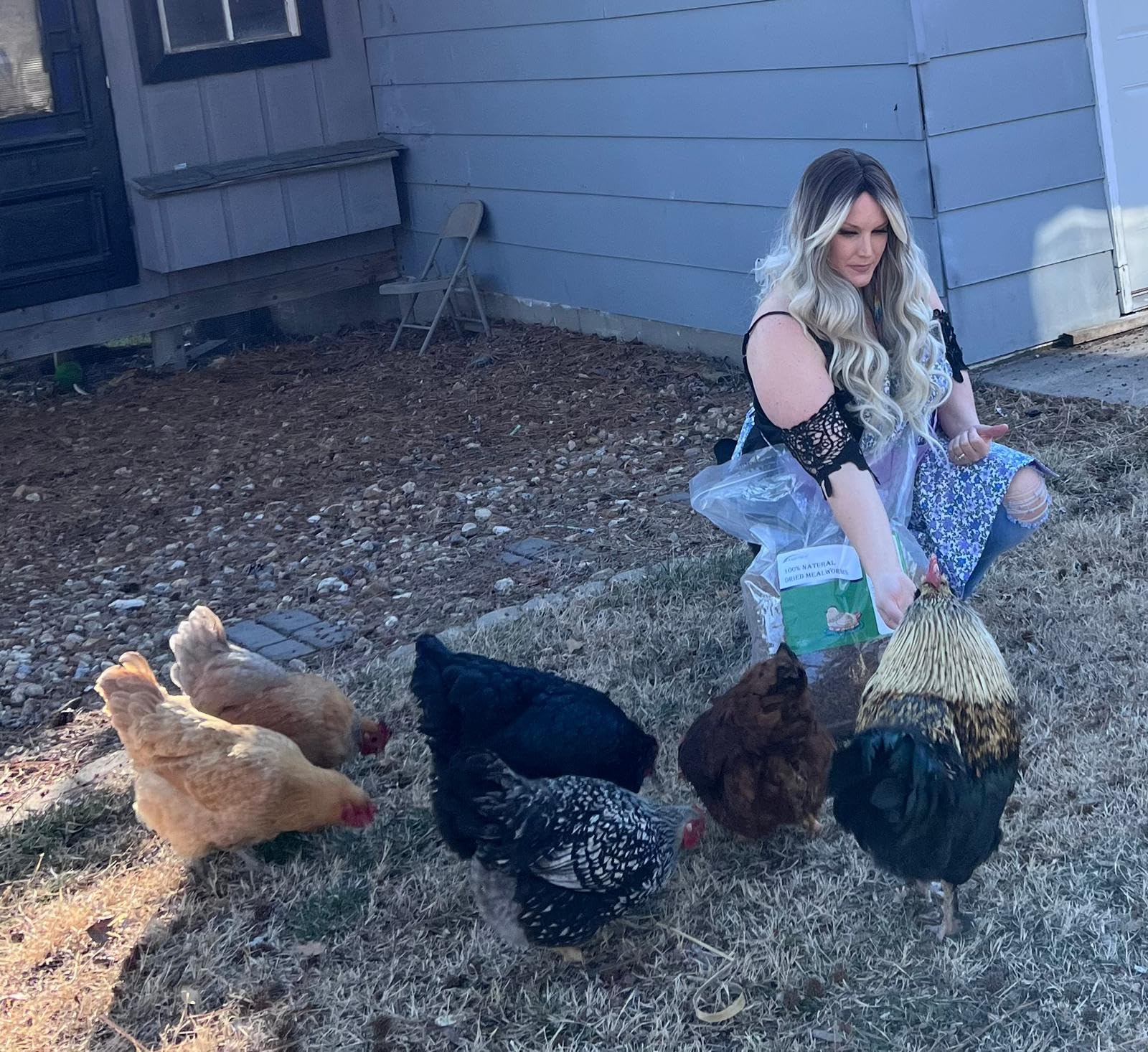 Easily incorporated into daily feeds for poultry and birds
