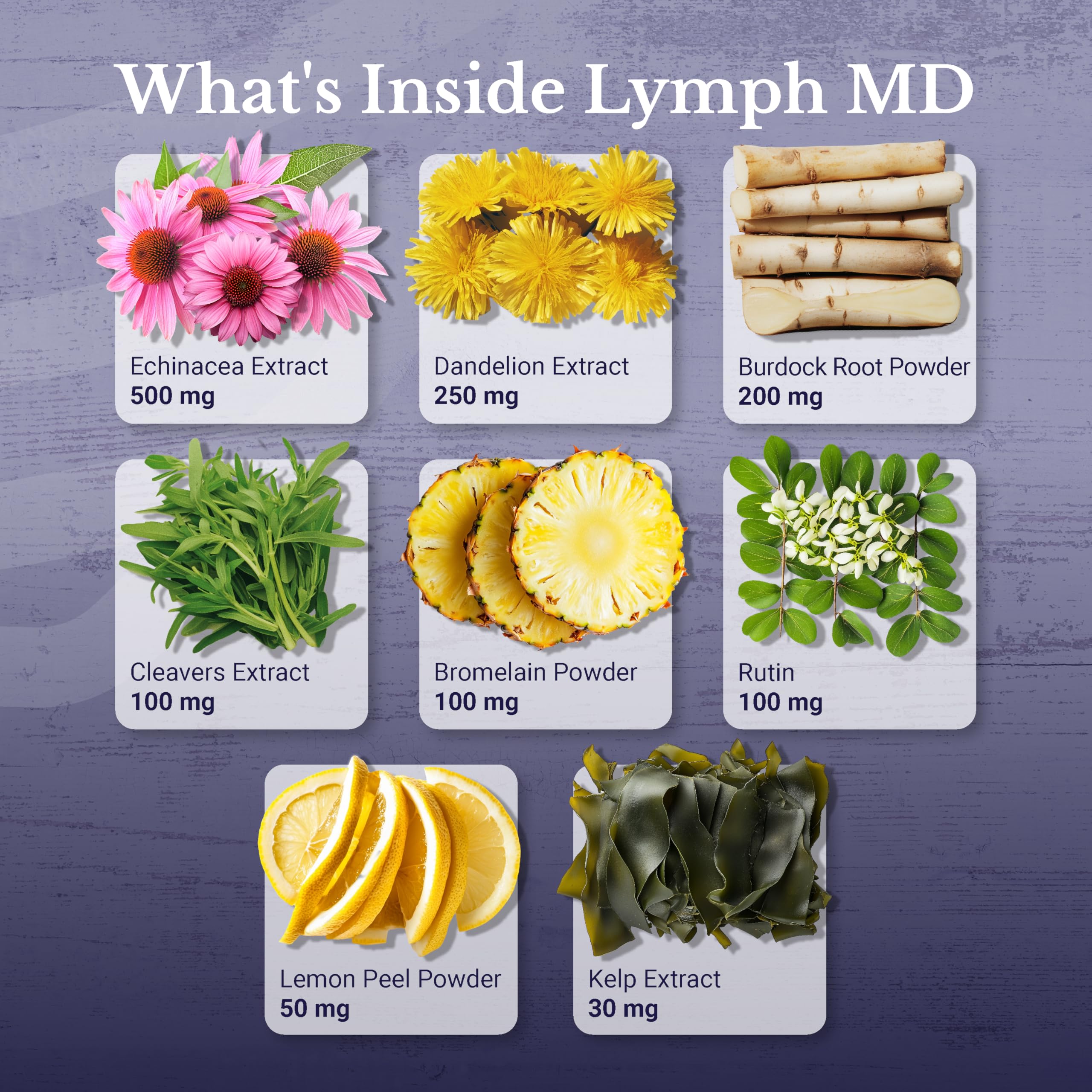 Nation Health MD Lymph MD capsules close-up highlighting plant-based formula.