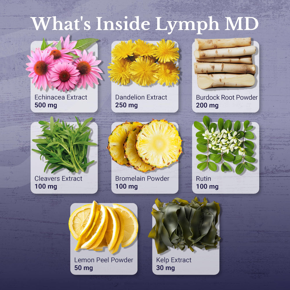 Nation Health MD Lymph MD capsules close-up highlighting plant-based formula.