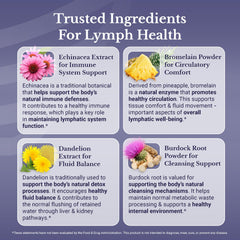 Nation Health MD Lymph MD ingredient close-up featuring dandelion and burdock.