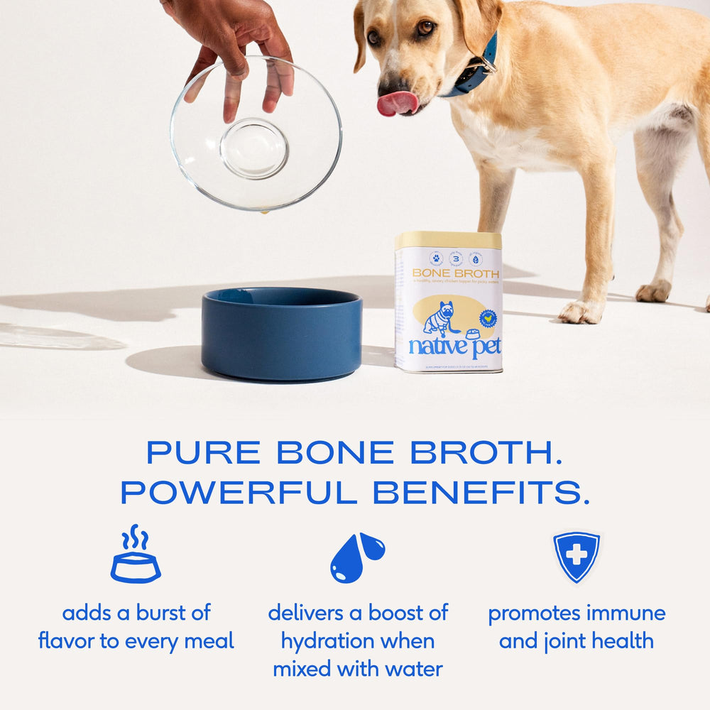 Scoop with bottle of Native Pet bone broth powder for easy servings