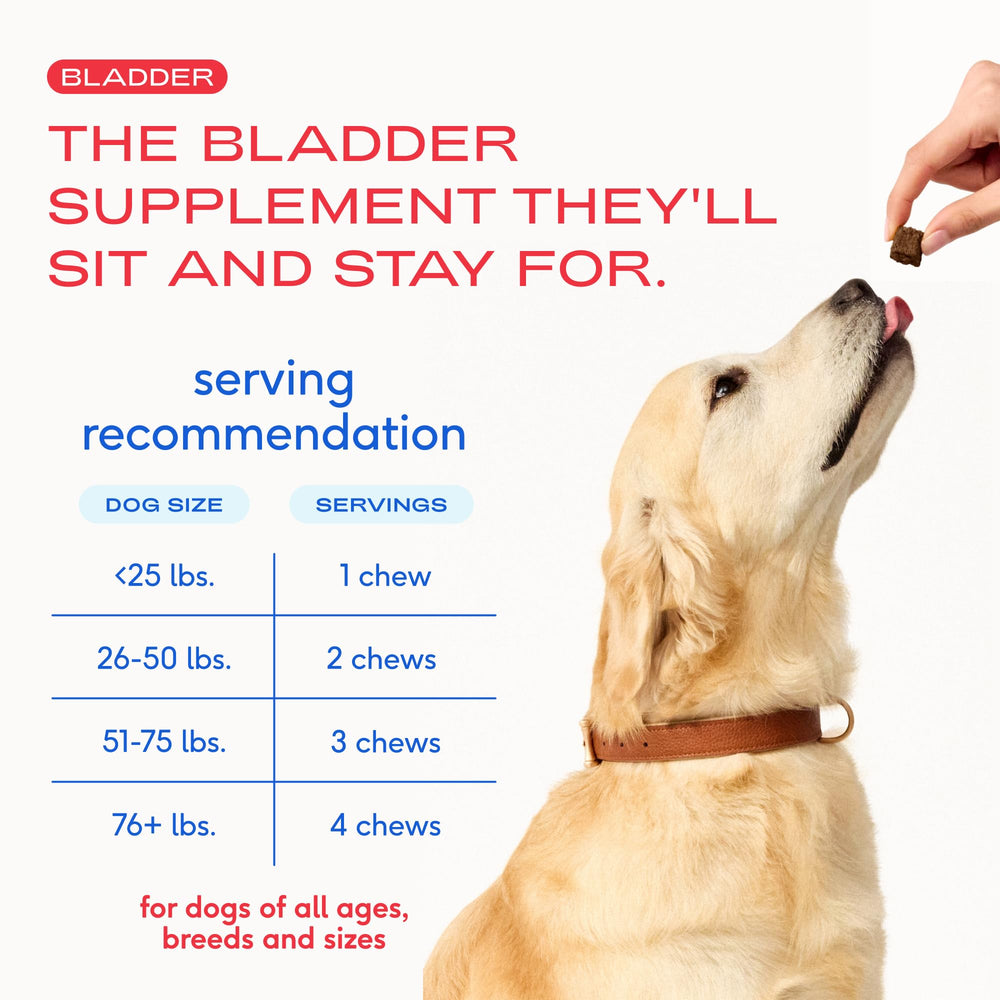 Native Pet formulation vétérinaire, ingrédients scientifiquement choisis pour le bien-être urinaire.