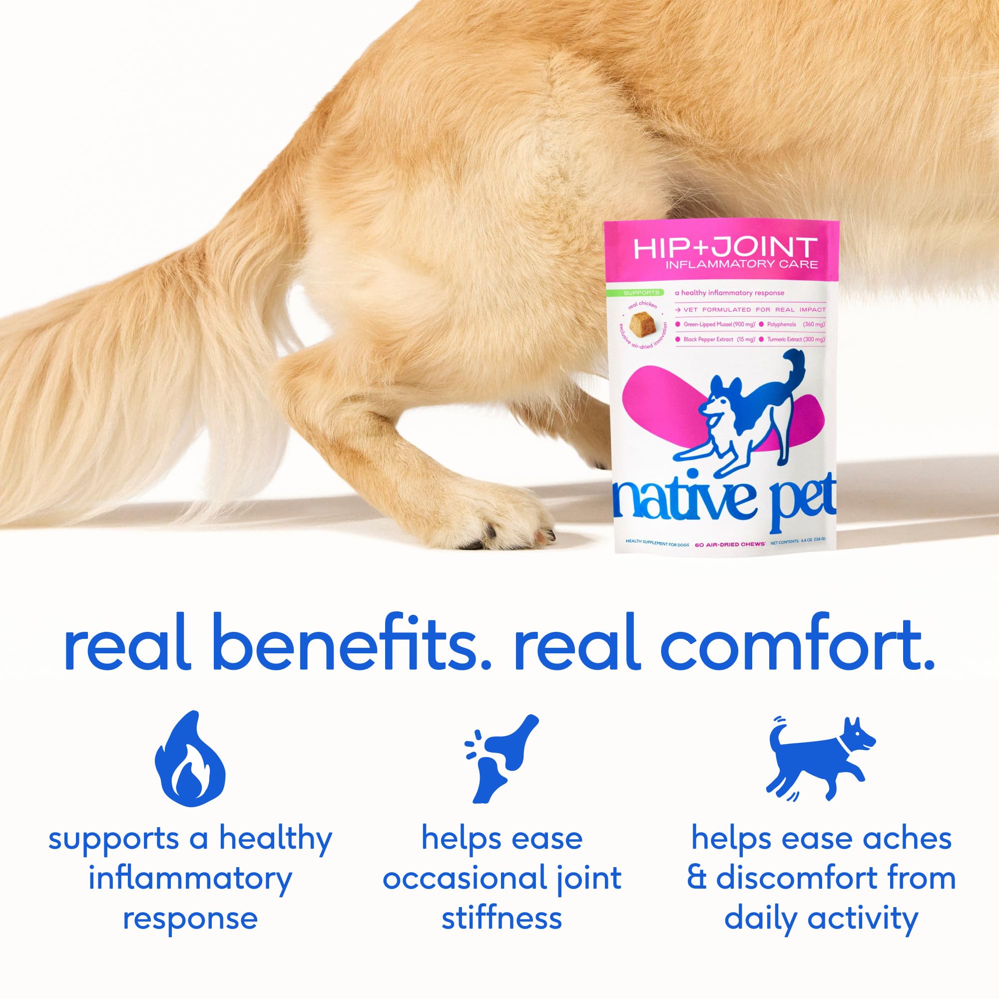 Native Pet Inflammatory Care – curcuma pour inflammation potentielle et confort.