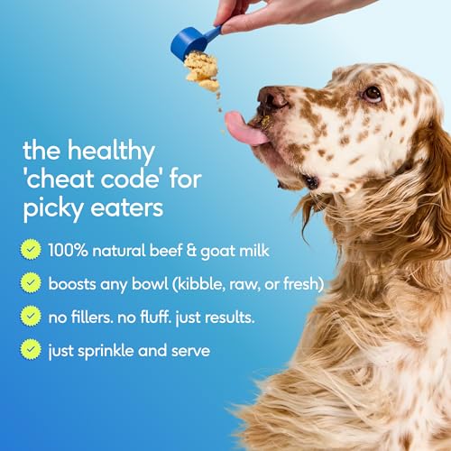 Native Pet The Daily Dog Vitamins bottle shown during activity to support mobility