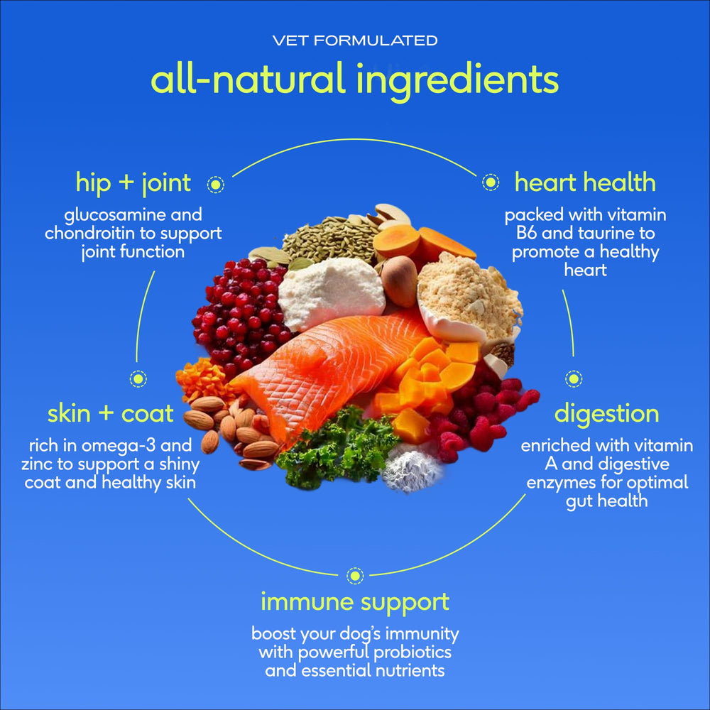 Native Pet The Daily Dog Vitamins jar highlights collagen and glucosamine ingredients