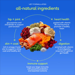 Native Pet The Daily Dog Vitamins jar highlights collagen and glucosamine ingredients