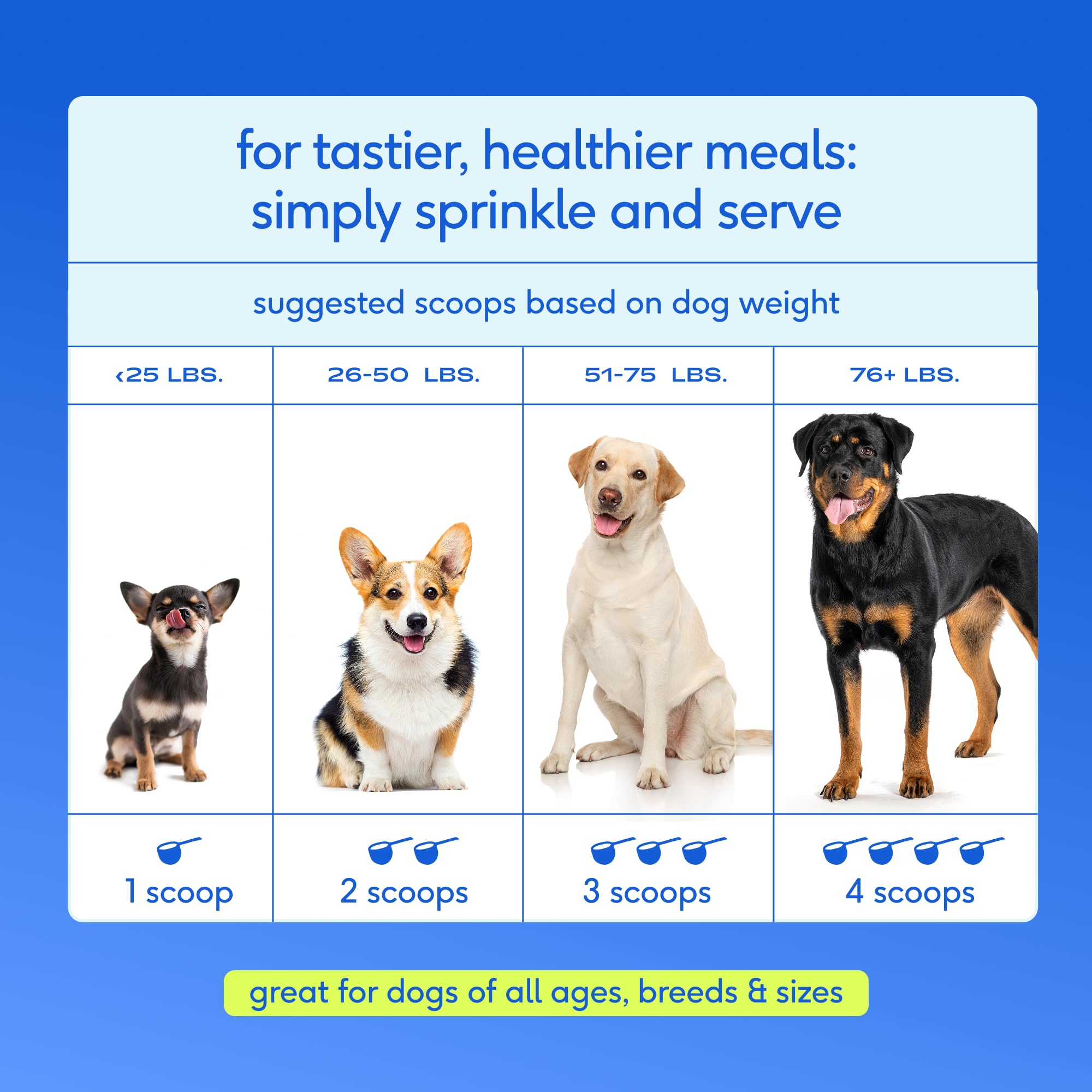 Native Pet The Daily Dog Vitamins mixed into a senior dog's meal
