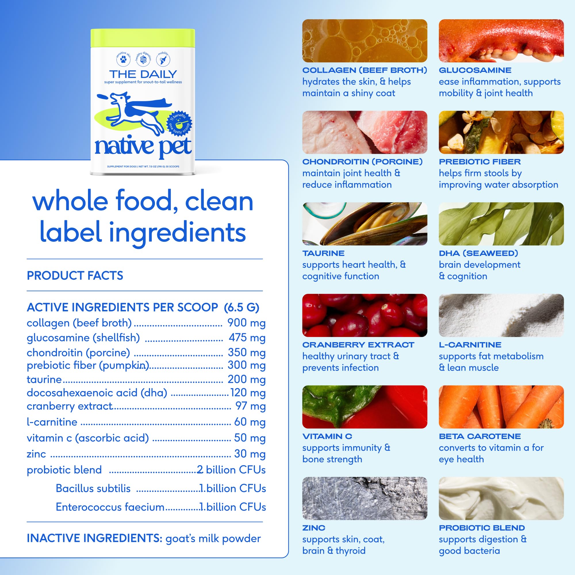 Native Pet The Daily Dog Vitamins pouch sits with meals to aid mixing
