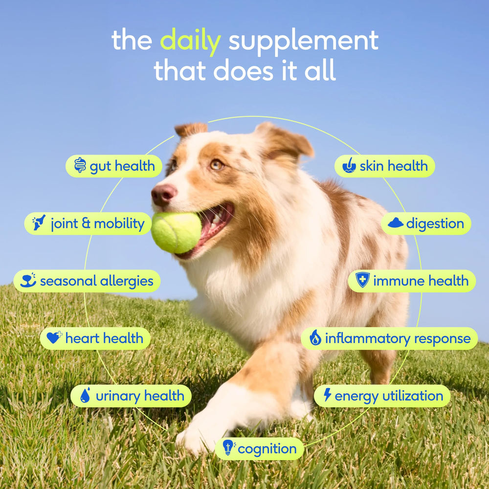 Native Pet The Daily Dog Vitamins scoop rests beside packaging for easy daily dosing