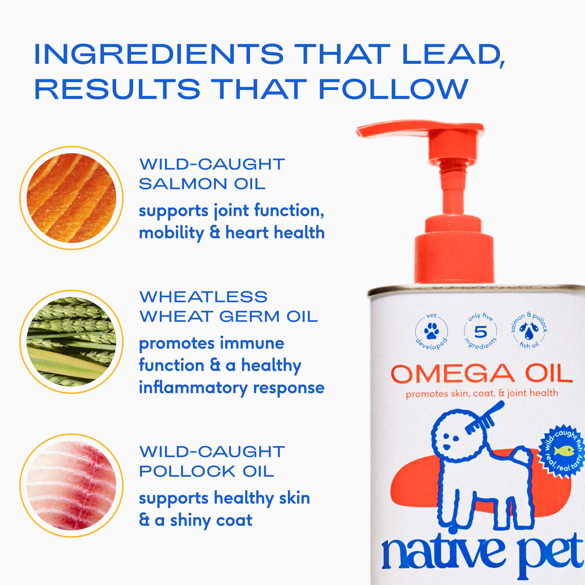 Native Pet digestive health powder blends into meals to support gut comfort.