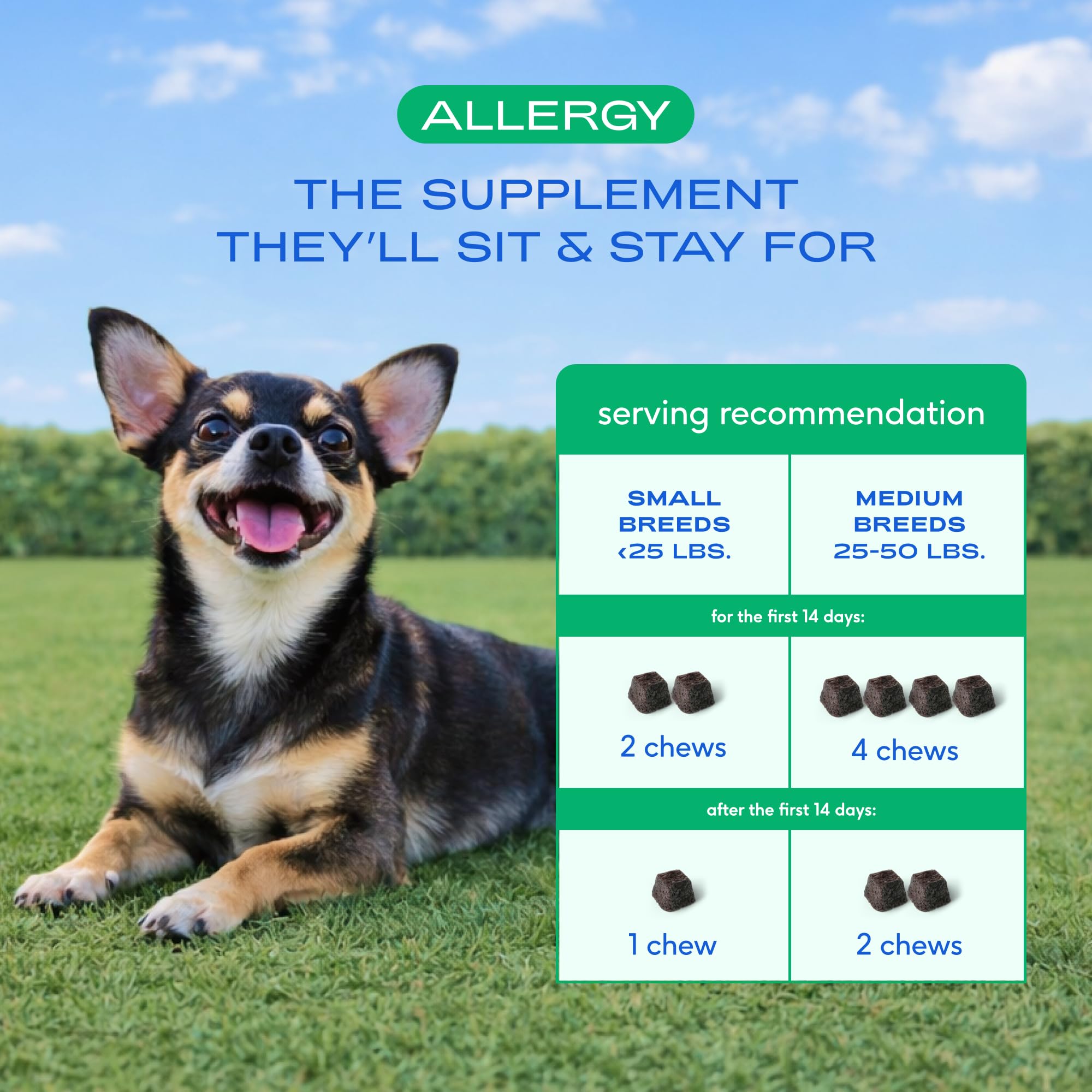 Native Pet Dog Allergy Chews with science-backed actives for immune support