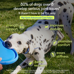 Native Pet scoop shown for easy daily dosing of joint supplement.