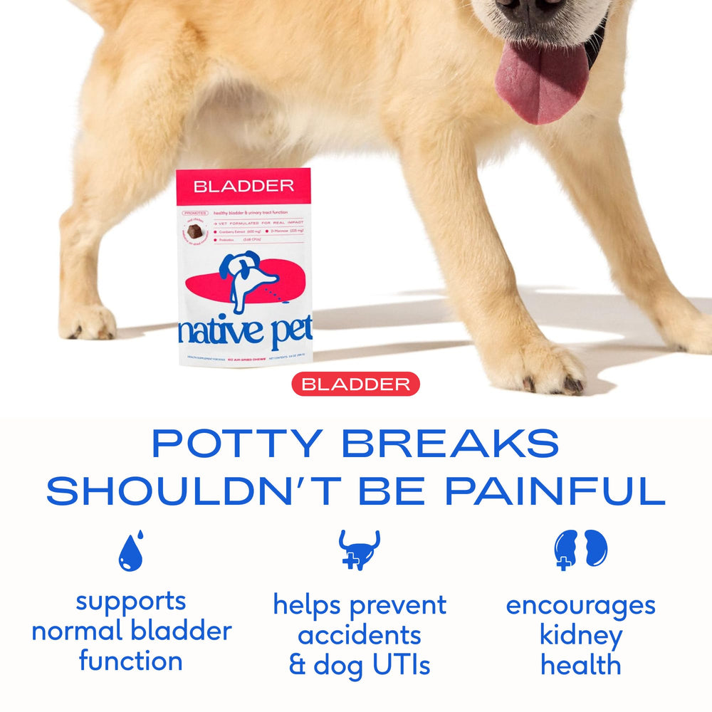 Native Pet UTI treatment packaging shows easy daily dosing for dogs.