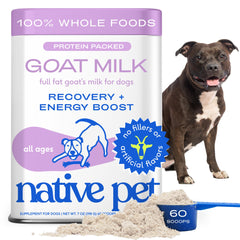 Native Pet Goat Milk Powder in dog bowl for energy and hydration