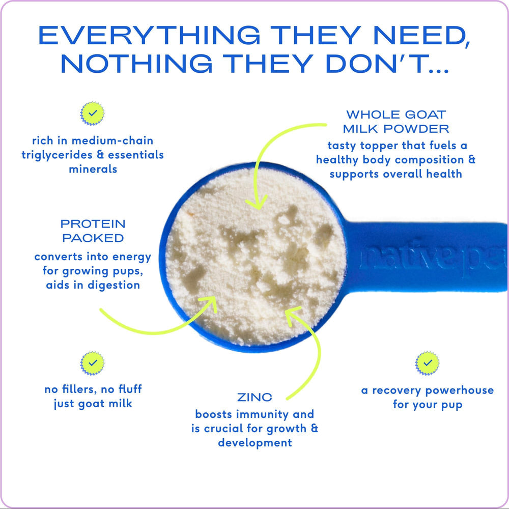 Close-up of Native Pet Goat Milk Powder highlighting whole milk nutrition