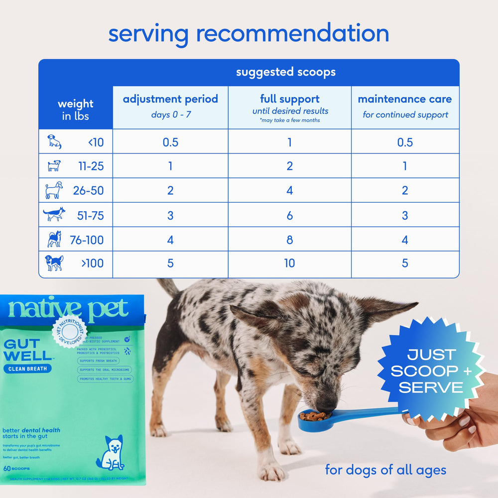 Native Pet GutWell daily care setup shows a simple routine for dogs.