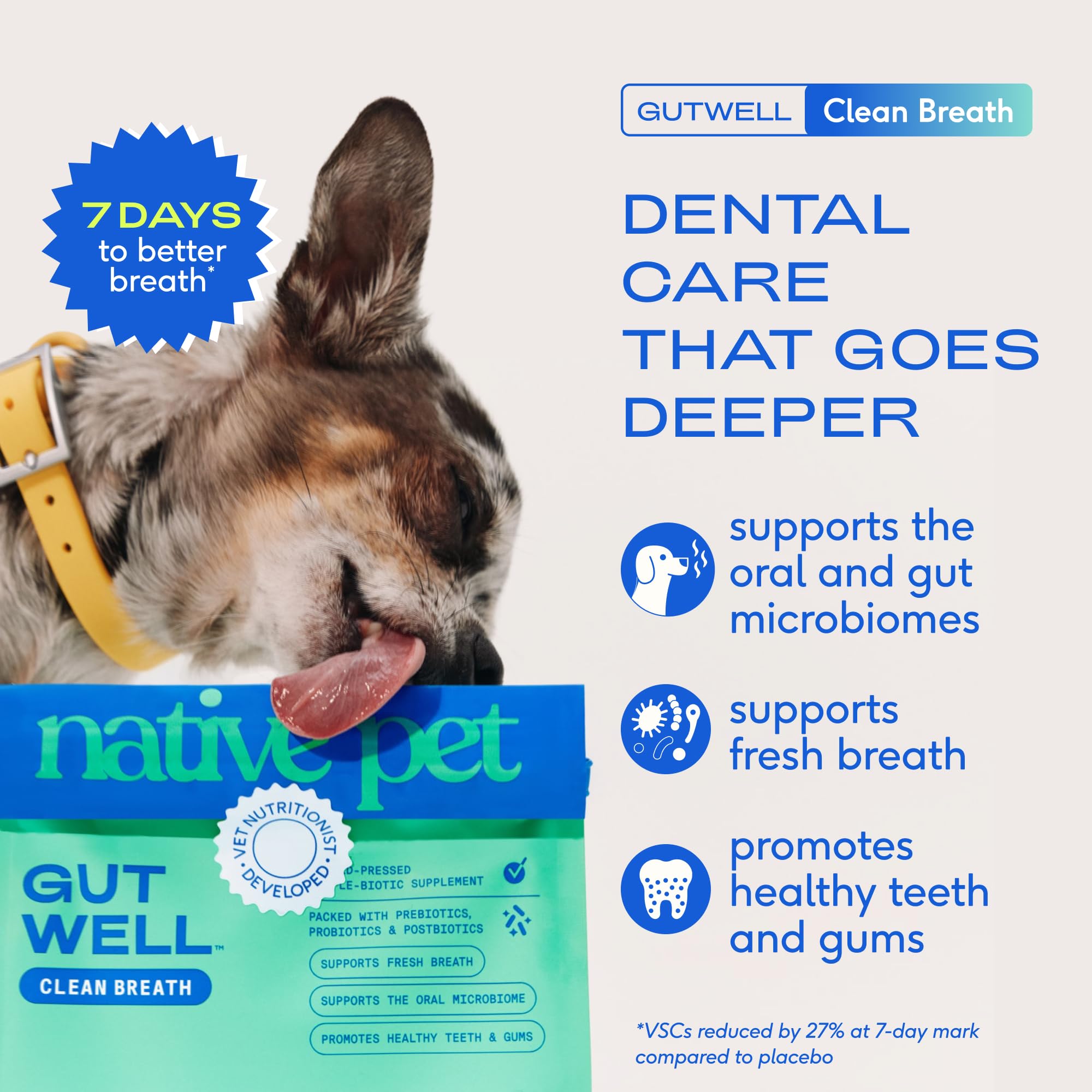 Native Pet GutWell dental powder scoop demonstrates easy dosing for routine dental care.
