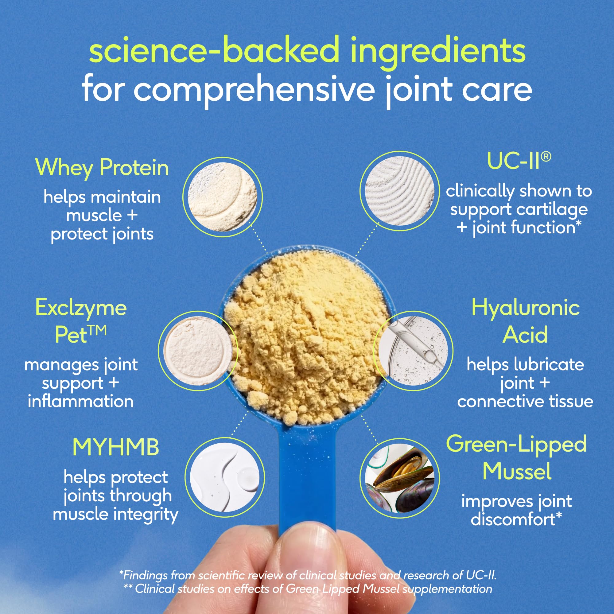 Native Pet powder being mixed into dog food for convenient use.