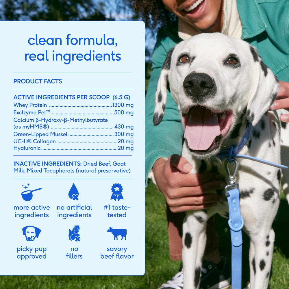 Native Pet Green Lip Mussel ingredient for natural joint comfort.