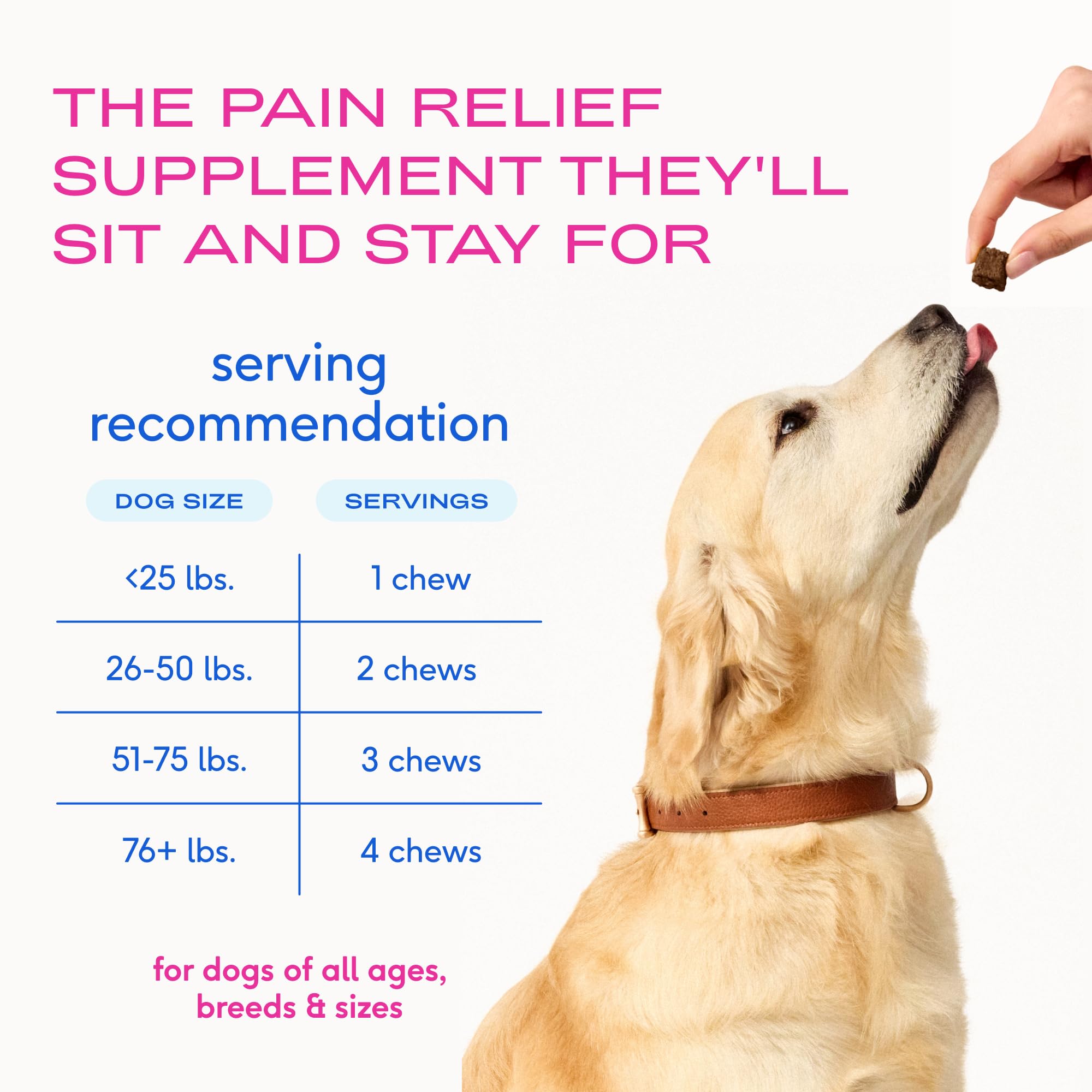 Native Pet Inflammatory Care for all dog sizes with paw logo signaling broad compatibility.