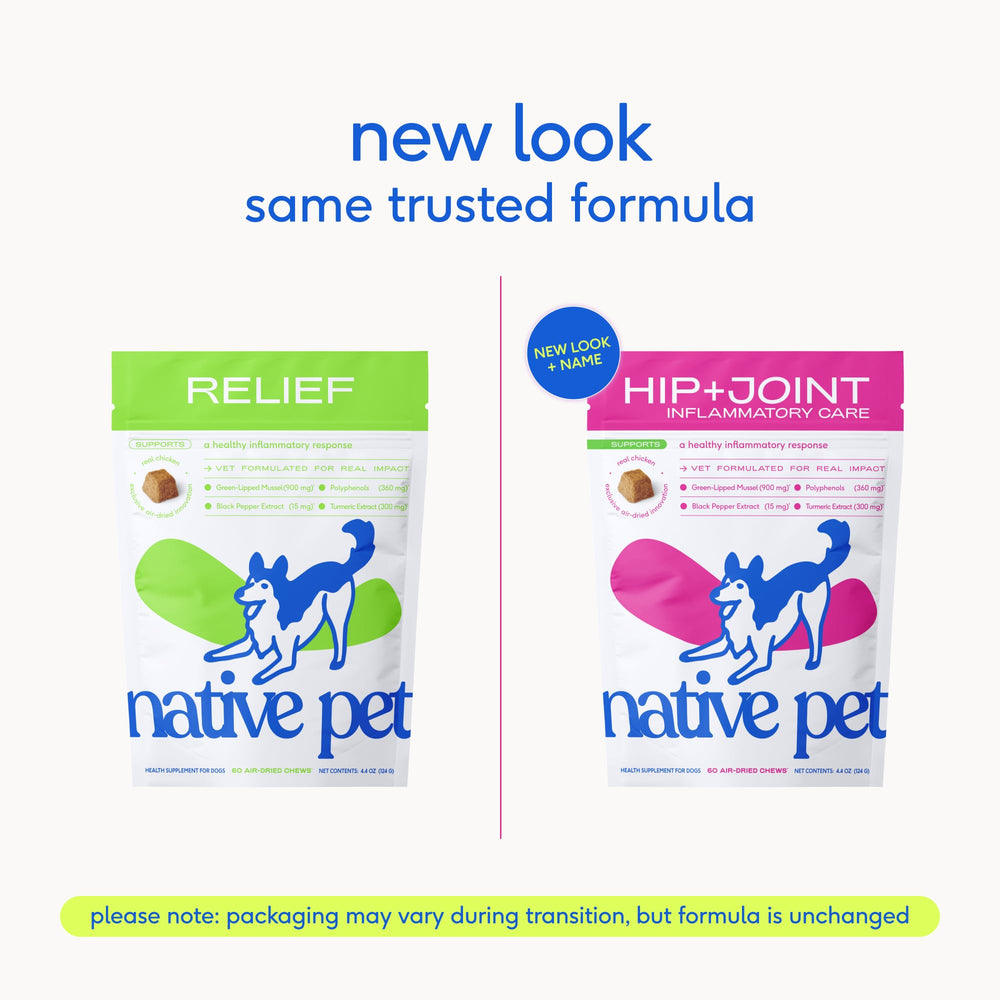 Native Pet Inflammatory Care – moules vertes pour articulations et source oméga.
