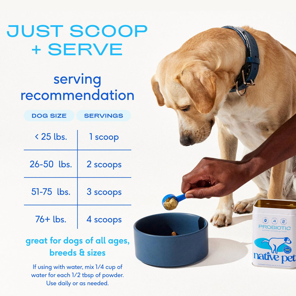 Native Pet Probiotics beef-broth flavor enhances palatability for picky eaters.