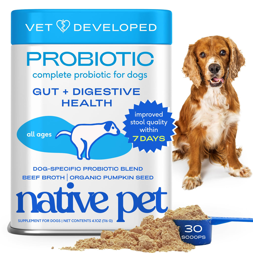 Native Pet Probiotics for Dogs bottle displaying vet-formulated gut health supplement
