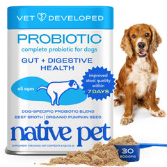 Native Pet Probiotics for Dogs bottle displaying vet-formulated gut health supplement