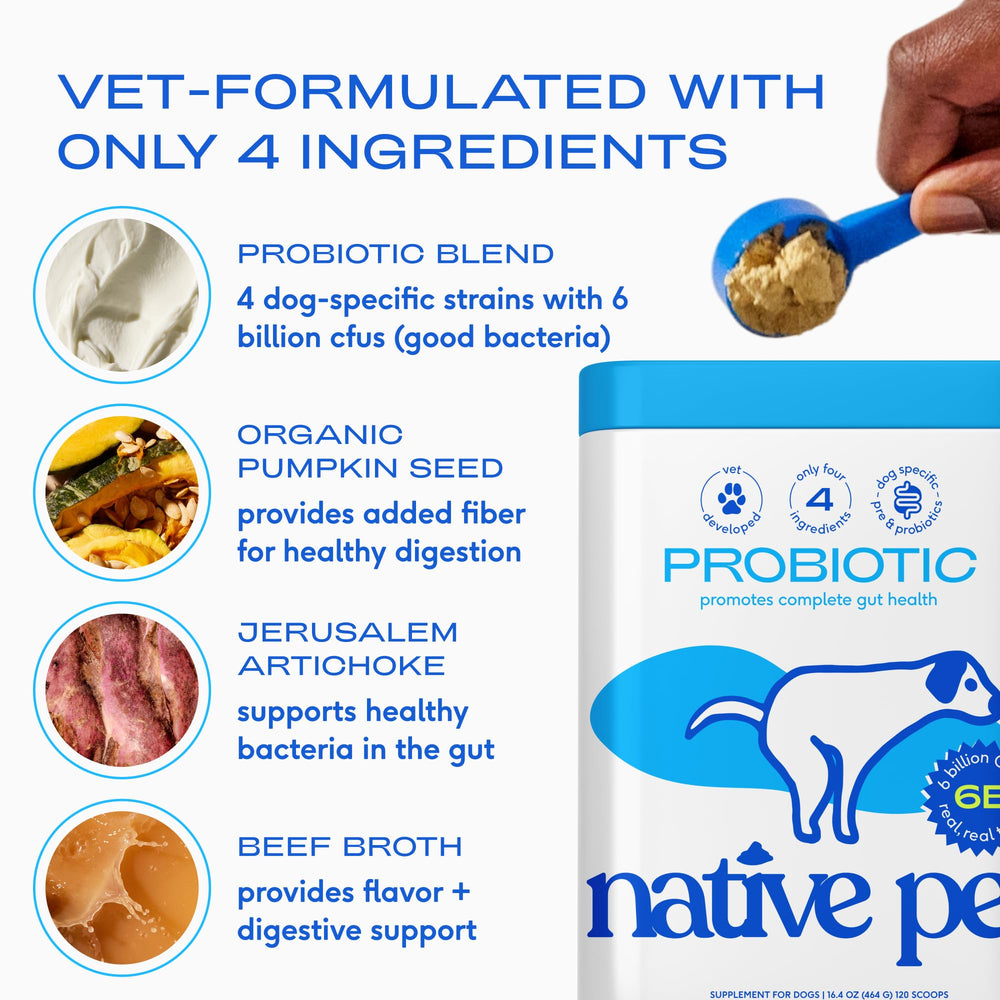 Native Pet Probiotics for Dogs organic pumpkin powder and inulin fiber blend visual