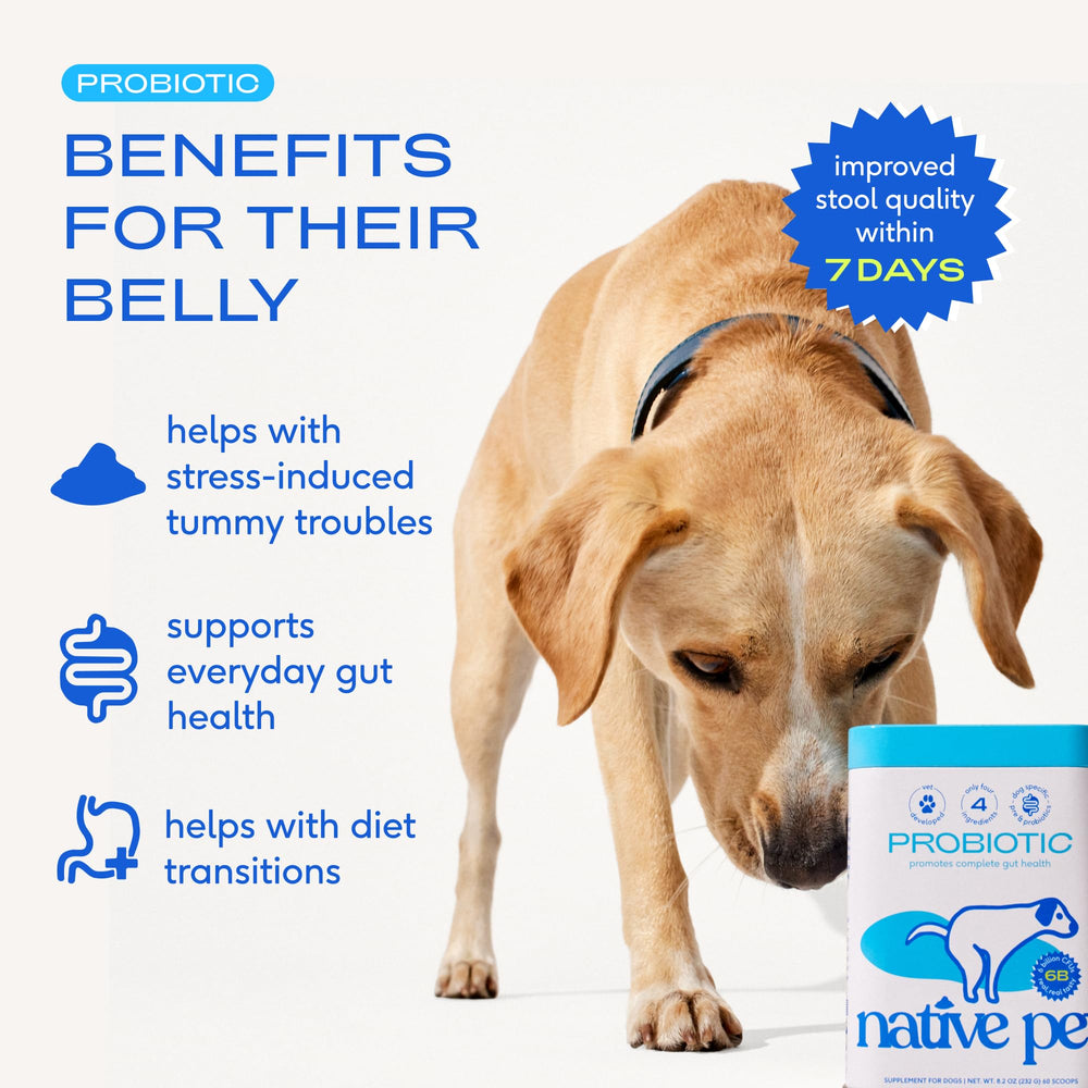 Native Pet Probiotics dogs powder-topping shows easy meal mixing for daily digestion.