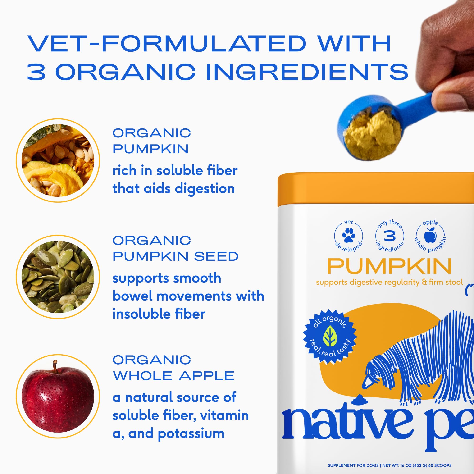 Native Pet Pumpkin for Dogs serving bowl with powder blended into food.