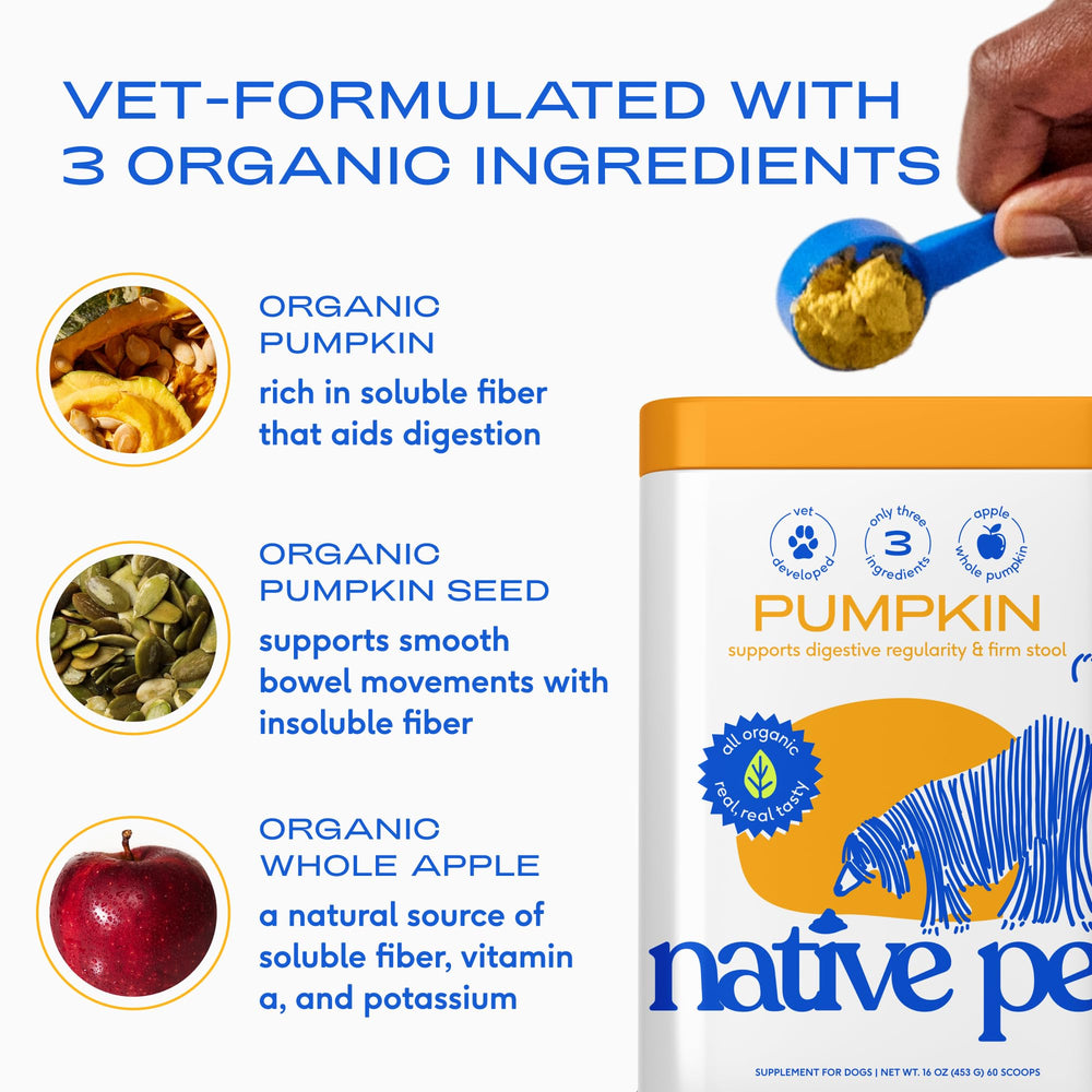 Native Pet Pumpkin for Dogs serving bowl with powder blended into food.