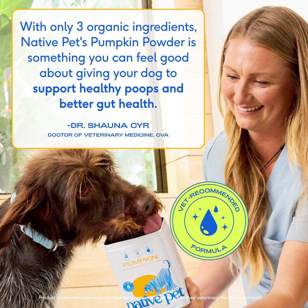 Native Pet Pumpkin for Dogs made in the USA with USDA Organic certification.