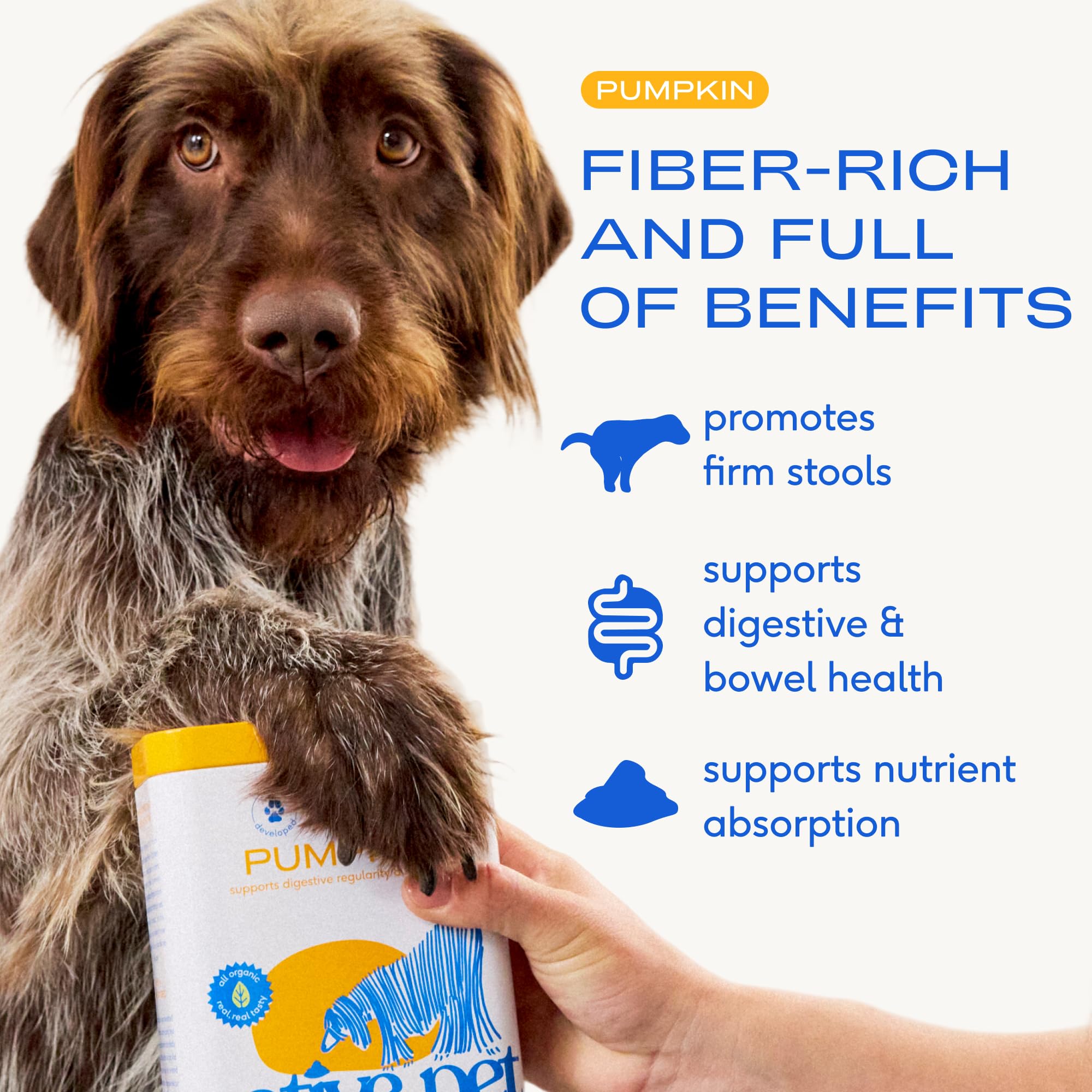 Native Pet Pumpkin for Dogs powder being mixed into dog food for easy digestion.