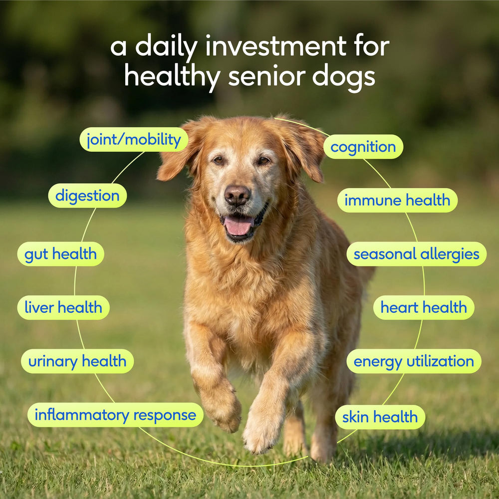 Native Pet Senior scoop with powder for easy daily dosing.